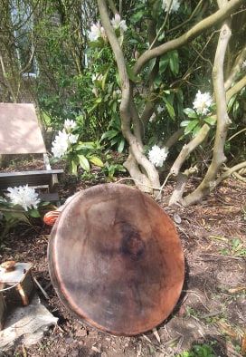 meditacijos, energetinis gydymas, būgnai, gedrimė kušlienė, alternatyvi medicina, sąmoningumas, saviugda